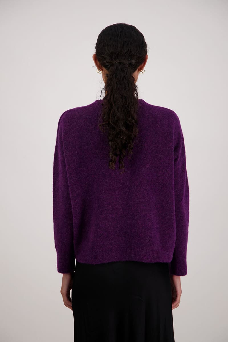 BRIARWOOD Freddie Jumper Purple
